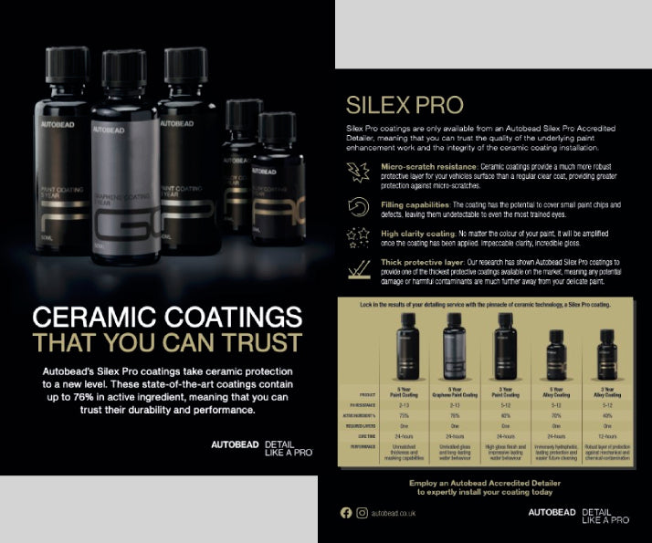 Silex Pro Flyer (10 units)